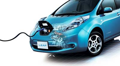 Leaf_parts_4.jpg Leaf_parts_4.jpg