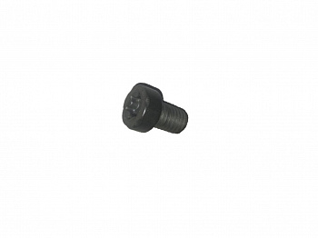 Болт M8-1.25x12 T45 (ремня безопасности нижний) TESLA MODEL S,SR