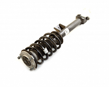 Амортизатор в сборе левый  ЗАДНЯЯ ПРИВОДНАЯ TESLA MODEL 3