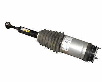 Пневмо амортизатор задний  в сборе TESLA MODEL X 1027461-00-G