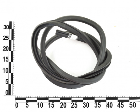 Уплотнитель дверного проема задний Nissan Leaf 2018